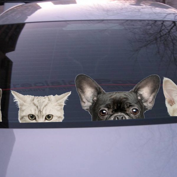 Funny 3D Cat Dog Half a face Peeking car sticker Wall background Art decals decorations cute animal wall stickers for home decor - Image 4
